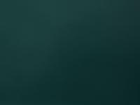 Бумвинил темно-зеленый №228, рулон 0,83х1м, серия Классик