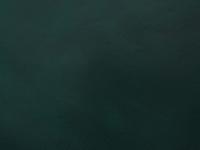 Бумвинил темно-зеленый №227 с печатью, рулон 0,83х150 м.