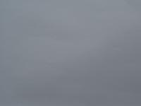 Бумвинил серый №39, рулон 0,83х150 м, серия Классик