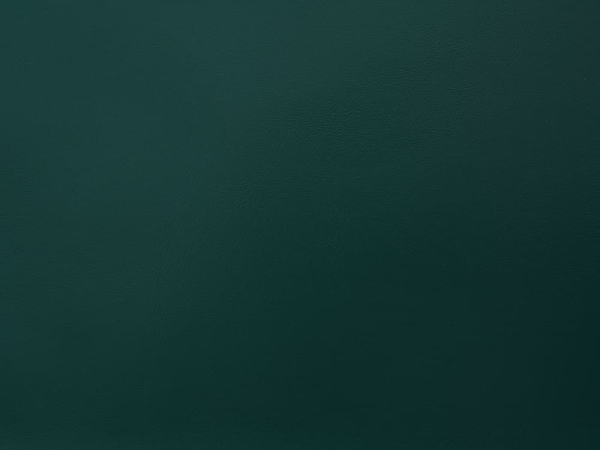Бумвинил темно-зеленый №228, рулон 0,83х1м, серия Классик Бумвинил темно-зеленый №228, рулон 0,83х1м, серия Классик