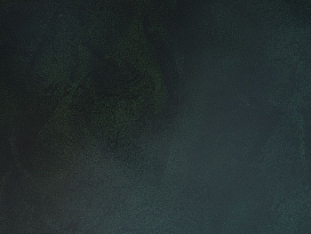 Бумвинил темно-зеленый №358 с печатью, рулон 0,83х150 м, серия Классик Бумвинил темно-зеленый №358 с печатью, рулон 0,83х150 м, серия Классик