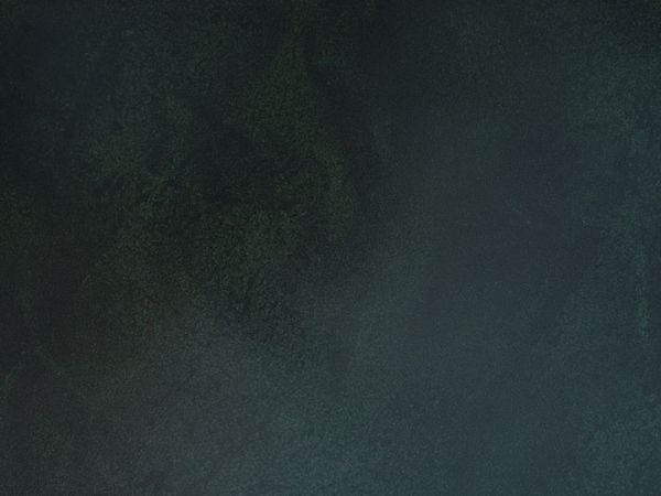 Бумвинил темно-зеленый №358 с печатью, рулон 0,83х150 м, серия Классик Бумвинил темно-зеленый №358 с печатью, рулон 0,83х150 м, серия Классик