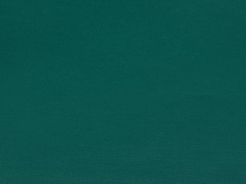 Бумвинил темно-зеленый №5, рулон 0,83х150 м, серия Бэст Бумвинил темно-зеленый №5, рулон 0,83х150 м, серия Бэст