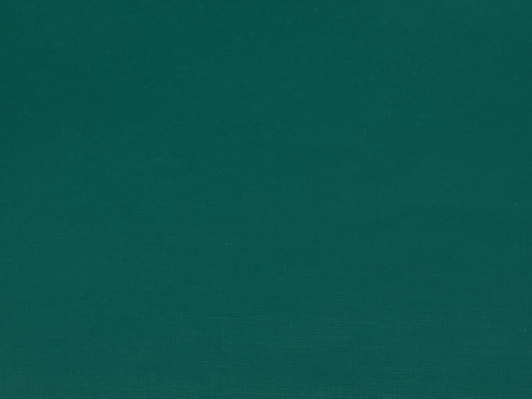 Бумвинил темно-зеленый №5, рулон 0,83х150 м, серия Бэст Бумвинил темно-зеленый №5, рулон 0,83х150 м, серия Бэст