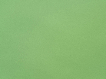 Бумвинил зеленый №443, рулон 0,83х150 м, серия Классик
