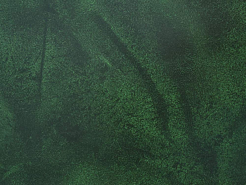 Бумвинил темно-зеленый №364 с печатью, рулон 0,83х150 м, серия Классик
