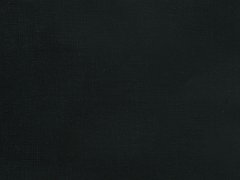 Бумвинил черный №1, рулон 0,83х150 м, серия Бэст Бумвинил черный №1, рулон 0,83х150 м, серия Бэст