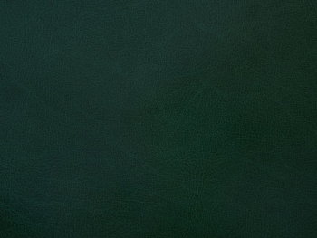 Бумвинил темно-зеленый №427 с печатью, рулон 0,83х150 м.