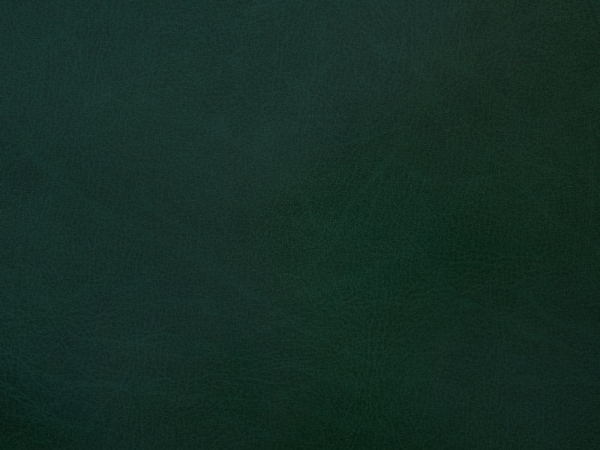 Бумвинил темно-зеленый №427 с печатью, рулон 0,83х150 м. Бумвинил темно-зеленый №427 с печатью, рулон 0,83х150 м.